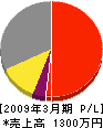 雅建築総合技術 損益計算書 2009年3月期