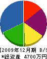 岩永塗装 貸借対照表 2009年12月期