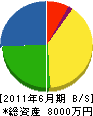 伊藤組 貸借対照表 2011年6月期