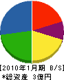 関谷舗道 貸借対照表 2010年1月期