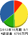 阪口塗装 貸借対照表 2012年10月期