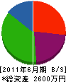 小川組 貸借対照表 2011年6月期