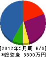 大塚工業 貸借対照表 2012年5月期