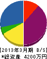 斎藤興業 貸借対照表 2013年3月期