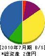 武田組 貸借対照表 2010年7月期