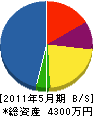斎藤設備 貸借対照表 2011年5月期