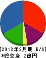 大沢野土建工業 貸借対照表 2012年3月期