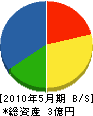 大篠建設 貸借対照表 2010年5月期