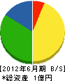 慶陽舗道 貸借対照表 2012年6月期