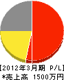 長濱土木 損益計算書 2012年3月期