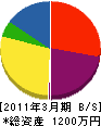 神山土建 貸借対照表 2011年3月期