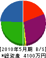 豊島塗装工業 貸借対照表 2010年5月期