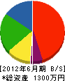 山本水道 貸借対照表 2012年6月期