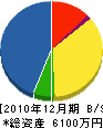 太陽設備工業 貸借対照表 2010年12月期 太陽設備工業 貸借対照表 2010年12月期