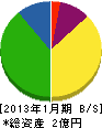 渋谷電通工業 貸借対照表 2013年1月期