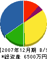 広島ジスライン 貸借対照表 2007年12月期