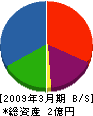 三晃商会 貸借対照表 2009年3月期