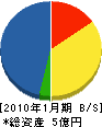 大沢組 貸借対照表 2010年1月期