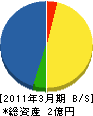 松枝組 貸借対照表 2011年3月期