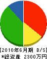 田中スポーツ設備 貸借対照表 2010年6月期