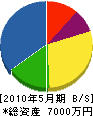 佐渡山電水 貸借対照表 2010年5月期
