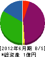 津田建設工業 貸借対照表 2012年6月期