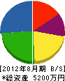 青松 貸借対照表 2012年8月期