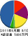日興技建 貸借対照表 2011年6月期