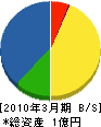 小沢工業所 貸借対照表 2010年3月期