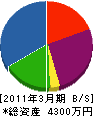 松島建設 貸借対照表 2011年3月期
