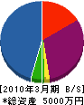 逢坂工務店 貸借対照表 2010年3月期