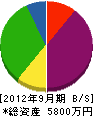伊藤電気 貸借対照表 2012年9月期