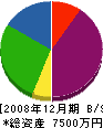 松隈住建 貸借対照表 2008年12月期