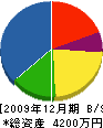 ケーズパイプライン 貸借対照表 2009年12月期