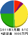 東北新井電工 貸借対照表 2011年3月期