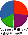 松澤組 貸借対照表 2011年3月期