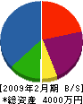 安部電気 貸借対照表 2009年2月期