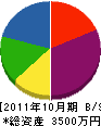 成田ポンプ水道工業所 貸借対照表 2011年10月期