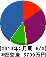 竹端電気 貸借対照表 2010年5月期