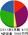 嶋谷 貸借対照表 2011年6月期