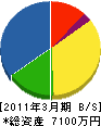 金川電業 貸借対照表 2011年3月期