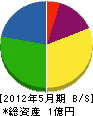 小笠原建設興業 貸借対照表 2012年5月期