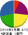 小野工務店 貸借対照表 2010年6月期