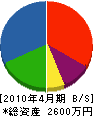 飯島電気 貸借対照表 2010年4月期
