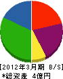 大野小木 貸借対照表 2012年3月期
