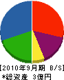姫路ハウスサービス 貸借対照表 2010年9月期