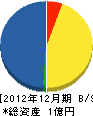 三洋実業 貸借対照表 2012年12月期