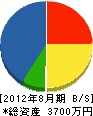 菅野塗装店 貸借対照表 2012年8月期