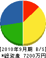 福田建設 貸借対照表 2010年9月期