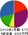 平山綜合建材 貸借対照表 2010年2月期
